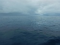 117 Even More Squalls